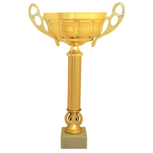 TEAMPRO GOLD CUP ΚΥΠΕΛΛΟ ΑΠΟΝΟΜΗΣ 38cm